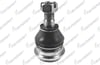 ROTIL ON ALT NISSAN Pickup 4X2 1998-2012
