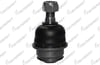 ROTIL ON ALT TOYOTA HILUX 2005-