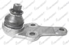 ROTIL ON FORD FOCUS I 1998-2004
