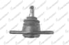 ROTIL ON HYUNDAI ACCENT 2005-2010 / KIA RIO 2005-2011
