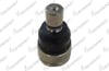 ROTIL ON MAZDA CX-7 2007- / FORD EDGE 2006-2014