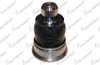 ROTIL ON NISSAN MICRA IV 2010- / NISSAN VERSA NOTE 2013-