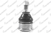 ROTIL ON RENAULT LAGUNA 1993-2001 / RENAULT SAFRANE 1992-2000