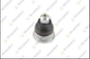 ROTIL ON RENAULT TALIANT 2021- / DACIA LOGAN III 2020- / SANDERO III 2020-
