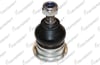 ROTIL ON UST HONDA ACCORD 1990-2008 / ROVER 600 1993-1999 / ACURA CL 1997-1999 / ACURA CL 2001-2003