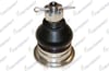 ROTIL ON UST HONDA ACCORD VIII 2008-2012 / ACURA TL 2009-2014 / ACURA TSX 2009-2014