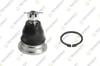 ROTIL ON UST NISSAN PICK UP SKYSTAR 4X4 2001- / NAVARA (D22) 4X4 2002-