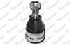 ROTIL ON VOLVO S40 1995-2003 / VOLVO V40 1995-2004 / MITSUBISHI GALANT 1983-1988 / MITSUBISHI CARISMA 1995-2000