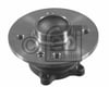 TEKERLEK RULMANI ARKA PORYA R55-56-57-58  2007-