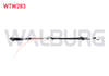 VITES TELI PEUGEOT 107 M-T 2005- / CITROEN C1 M-T 2005-