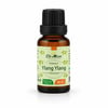 Dr.Alcen Ylang Ylang Yağı 20 cc.
