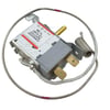 TERMOSTAT WPF31-EX BURGULU