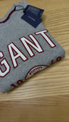 C2574 BİSİKLET YAKA KIRMIZI NAKIŞLI GRİ SWEAT 
