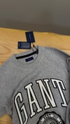 C2795 GNT BEYAZ NAKIŞLI GRİ SWEAT