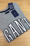 C2795 GNT BEYAZ NAKIŞLI GRİ SWEAT