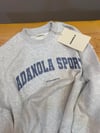 K4461 MAVİ NAKIŞLI BİSİKLET YAKA OVERSIZE GRİ SWEAT