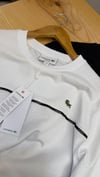 MEN1963 LCT REGULAR FİT ŞERİTLİ BİSİKLET YAKA T-SHIRT