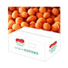 CİPS FISTIK 5 KG