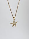 Deniz Yıldızı Çelik Kolye