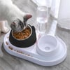 Kedi ve Köpek Mama ve Su Kabı Çelik Taslı Su Doldurma Özellikli SİYAH