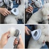 Otomatik Temizlenen Evcil Hayvan Kedi Köpek Masaj Etkili Tüy Toplayıcı Tarak GRİ