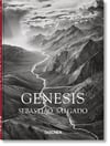 45 Ed - Salgado Genesis