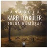 Anadolu Kareli Öyküler