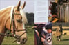 Complete Horse Care Manual