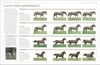 Complete Horse Care Manual