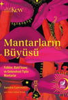 Mantarların Büyüsü