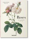 Redoute Roses