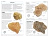 Rocks and Minerals