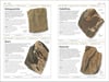 Rocks and Minerals