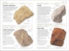 Rocks and Minerals