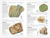 Rocks and Minerals