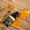 Bioterra Sarı Kantaron Yağı 50 Ml