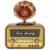 Dosound DS-2527B Retro Radyo Bluetooth USB SD Kart AUX FM AM SW Taşınabilir Müzik Çalar