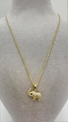 Vp 14 K Fil Model Kolye 45cm