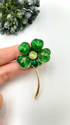 Yeşil Yonca Model Broş