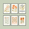 Botanical Floral 6'lı Tablo Seti