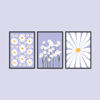 Flower Market Lilac Daisy 3'lü Tablo Seti