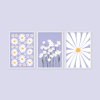 Flower Market Lilac Daisy 3'lü Tablo Seti