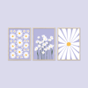 Flower Market Lilac Daisy 3'lü Tablo Seti