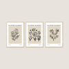 Flower Market London Line Art 3'lü Tablo Seti