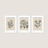 Flower Market London Line Art 3'lü Tablo Seti