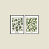 Flower Market Monstera and Daisy 2'li Tablo Seti
