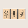 Minimalist Bitki 3'lü Tablo Seti