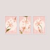 Pink Lilium 3'lü Tablo Seti