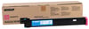 Develop TN-312 Orjinal Kırmızı Toner İneo +300 +352