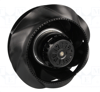 R2E250-RB06-01